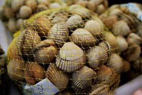 clams