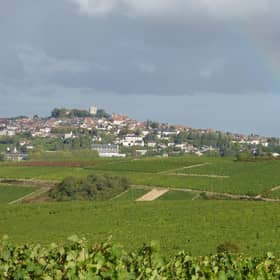 Sancerre's rainbow

Wine / grapes

wine 15th Nov