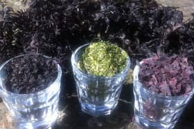 Dried Seaweed