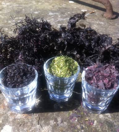 Dried Seaweed
