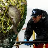 Legislation banning the discarding of fish could damage the industry.