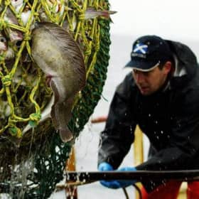 Legislation banning the discarding of fish could damage the industry.