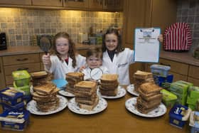 © Pictures,
Sunnybank Cottages, 117 Waterside Rd,    Carmunnock, Glasgow. U.K.  G76 9DU. 
 t. 01416444564 m.07811946280 f                e - graemehunter@mac.com