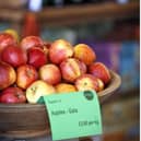 EARTHY ORGANIC FOOD.