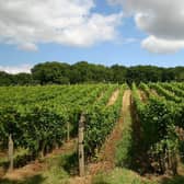 wine