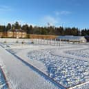 Garden snow (2)