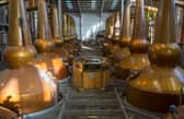 D is for Distillation. Picture: Ailsa Bay