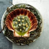 Tom Kitchin Recipe
14th Feb Spectrum Tom Kitchin Seaweed Recipe

Queenie scallops in a seaweed dressing?