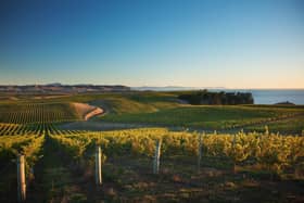 Wine for 28th FEB. Yealands Estate
Spectrum