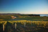 Wine for 28th FEB. Yealands Estate
Spectrum