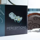 perceptions