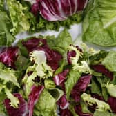 salad-649524_960_720
