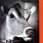 A small number of advertisements attracted a massive amount of complaints last year with a poster featuring a cow dreaming of becoming a beefburger voted the most offensive, according to watchdogs. The Advertising Standards Authority said the advert for Irn-Bru fizzy drinks attracted 589 complaints.