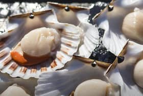 ethical shellfish company website