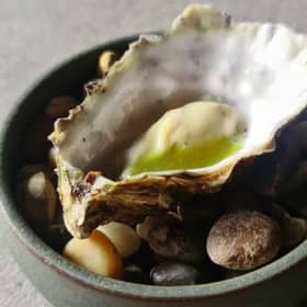 Oyster _ Jalapeñox