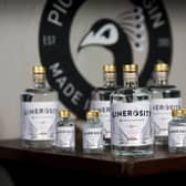 Ginerosity