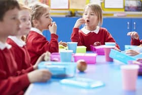 Schoolchildren sitting at table eating lunch