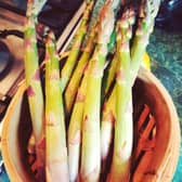 Asparagus