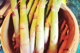 Asparagus