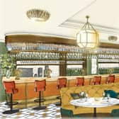 The Ivy