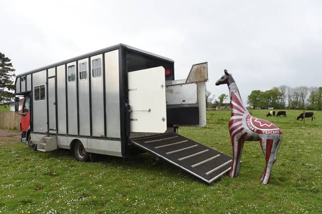 © Ian Watson
21st May 2017.
The Big Stampede,Hamilton 2017.
Pic shows Tunnocks Teacake Giraffe designed by artist Rae McCulloch about to board a horse box to go on display in Hamilton.