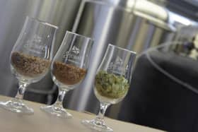 Stewart's brewing