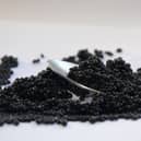 Caviar
