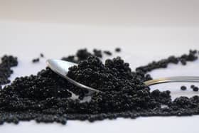 Caviar