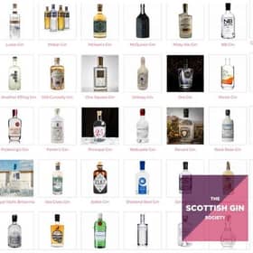 Picture: The Scottish Gin Society gins featured on the map, supplied