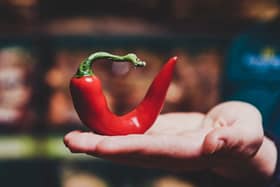 wonky chillies