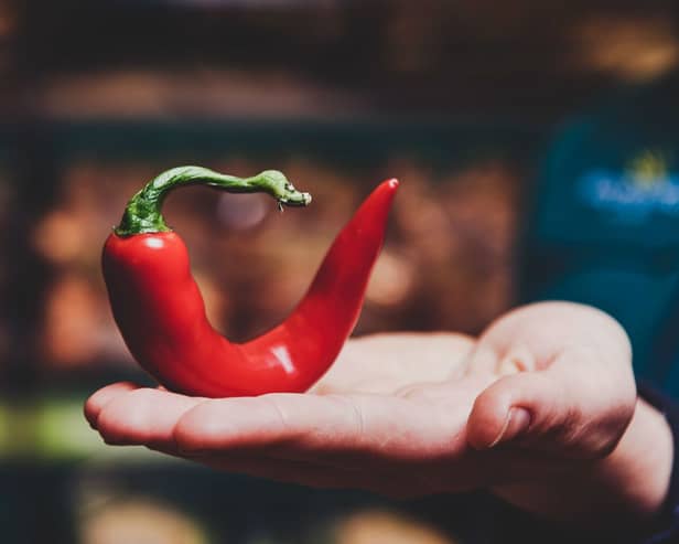 wonky chillies