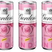Picture: Gordon's pink G&T cans, supplied