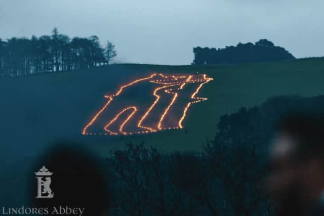 Picture: the 'burning bear', supplied