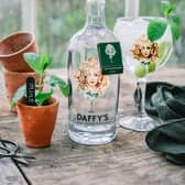 Picture: Daffys grow your own, supplied