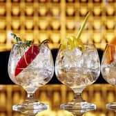 gin Edinburgh Festival