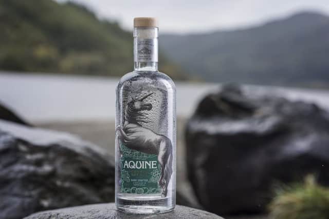 Lidl's own brand gin, Aquine Gin. Picture: Julie Howden