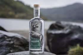 Lidl's own brand gin, Aquine Gin. Picture: Julie Howden