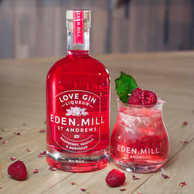 Valentine's Day gins