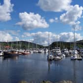 Kip Marina Gin Festival