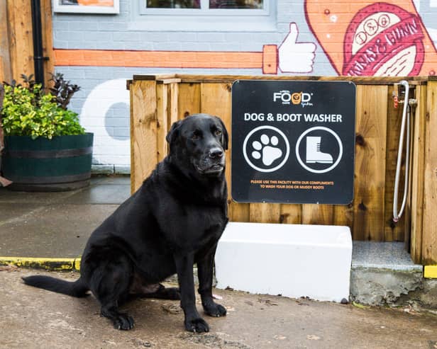 Picture: The Real Food Cafe, Tyndrum.