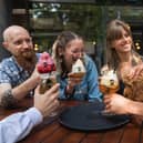BrewDog beer slushies