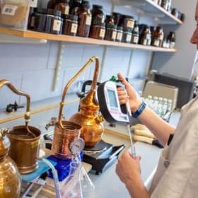 yeast Scotch whisky
