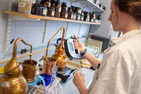 yeast Scotch whisky