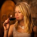 Aldi wine course 