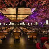 Tattu Edinburgh