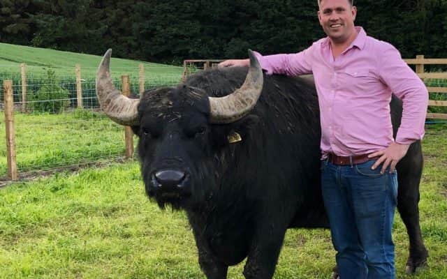 Picture: The Buffalo Farm