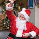 Mercat Grill Dog Christmas