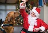 Mercat Grill Dog Christmas