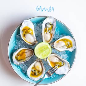 Gamba oyster happy hour