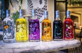 Boë Gin